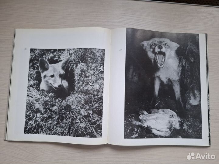 Фотоальбом «Как я их фотографировал» 1974 редкость