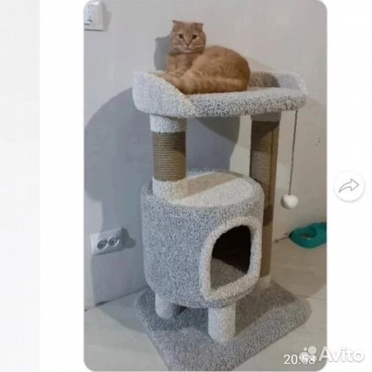 Когтеточка, домик 