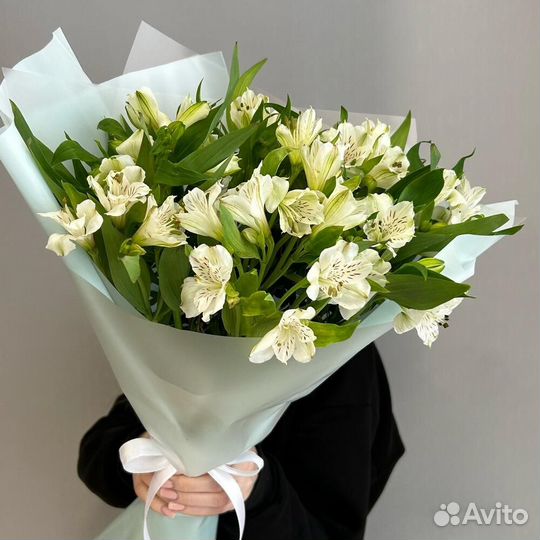 Альстромерия белая 15 шт