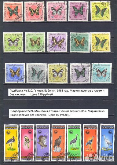 Флора и Фауна