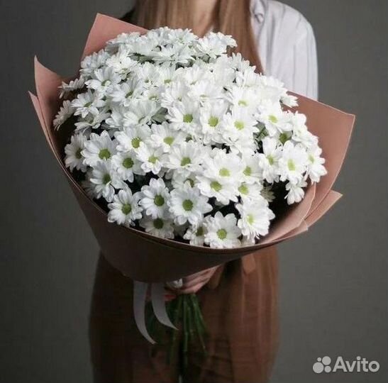 Букеты Цветы Хризантемы с доставкой