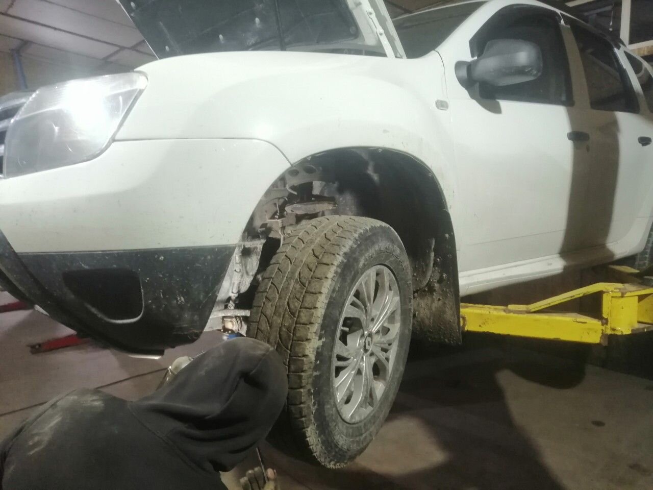 Renault Duster: фото владельца