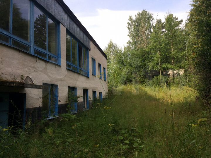 Участок 3,19 га (ИЖС)