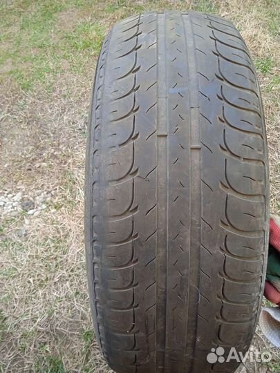 Bridgestone B391 175/65 R15