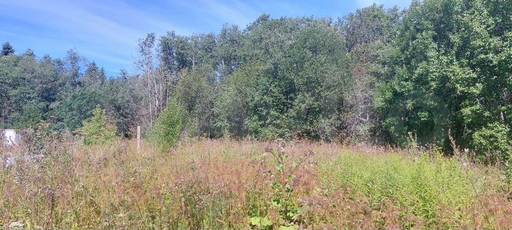 Участок 30 сот. (ИЖС)