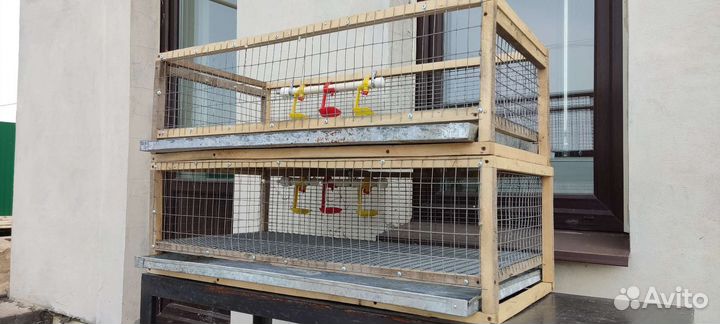 Клетки для перепелов