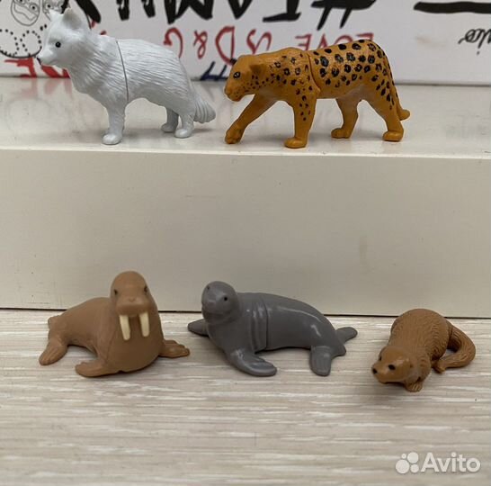 Киндер Natoons