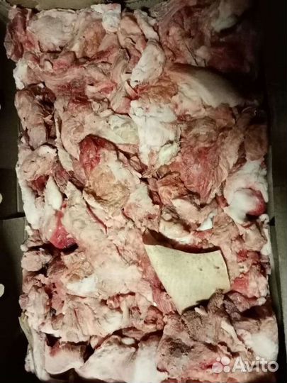 Корм собакам и др. Животным