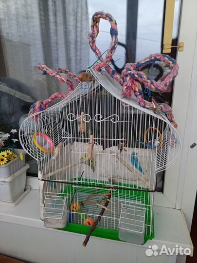 Клетка для попугая