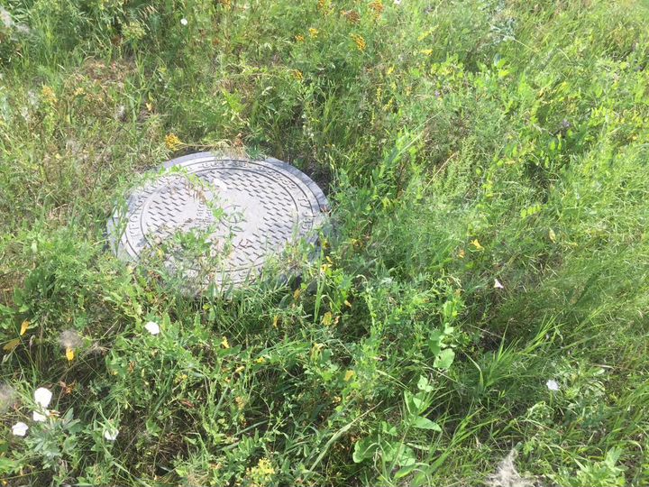 Участок 11 сот. (ИЖС)