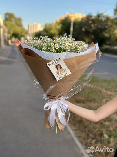 Ромашки Цветы Букет из ромашек Доставка