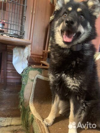 Ей грозит беда