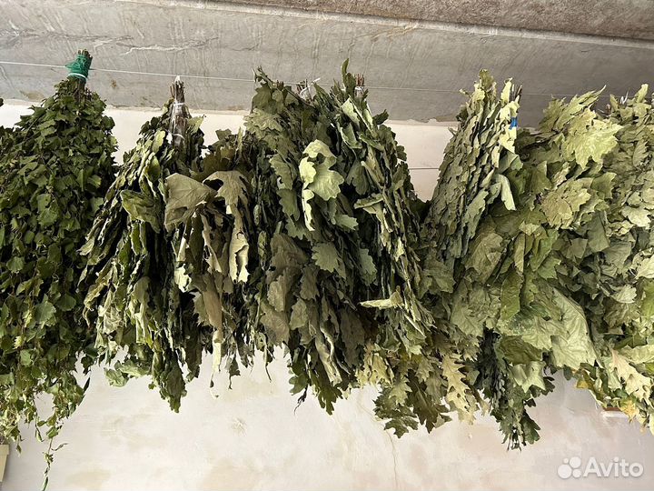 Дубовые веники для бани