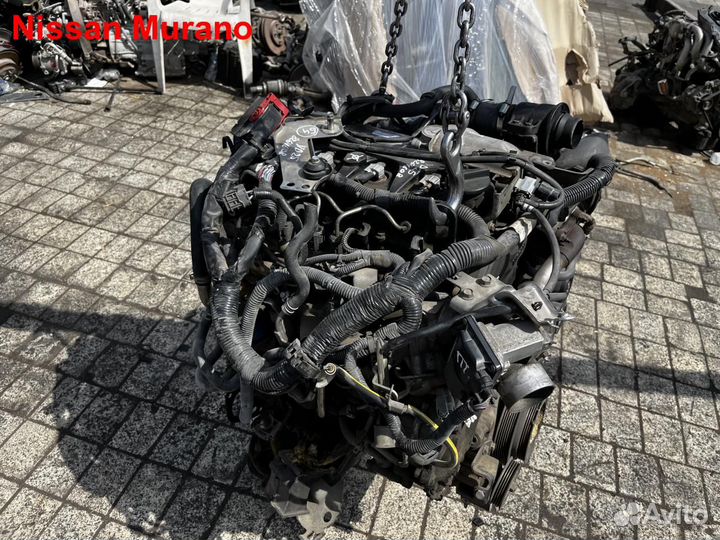Двигатель YD25ddti Nissan Murano