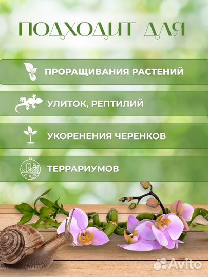 Мох сфагнум живой