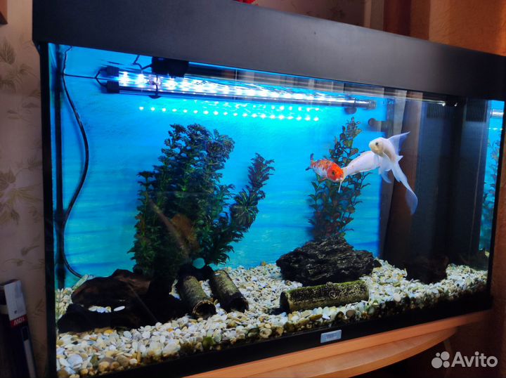 Аквариум juwel 150 литров