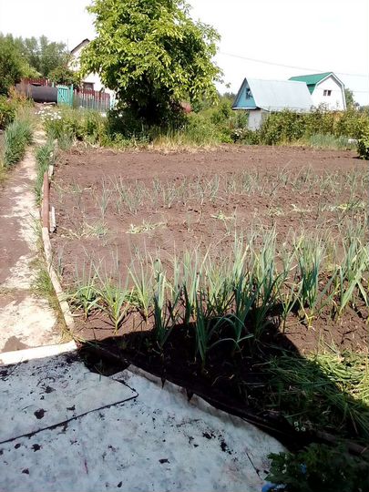 Участок 5,3 сот. (СНТ, ДНП)