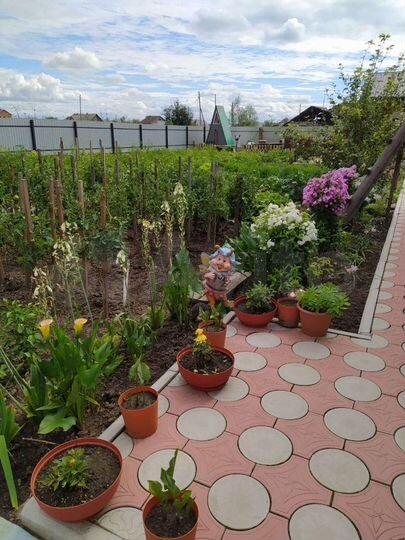 Дом 67 м² на участке 12 сот.