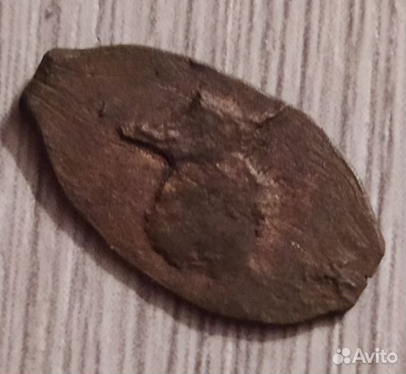 Пуло Новгорода, Новгородское. Чешуя удельная