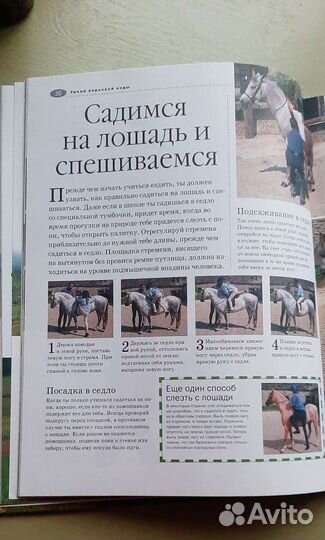 Книга Санди Рансфорд Лошади и пони