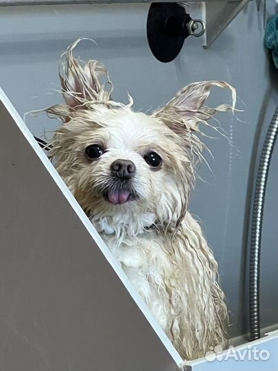 Скорее идите К нам