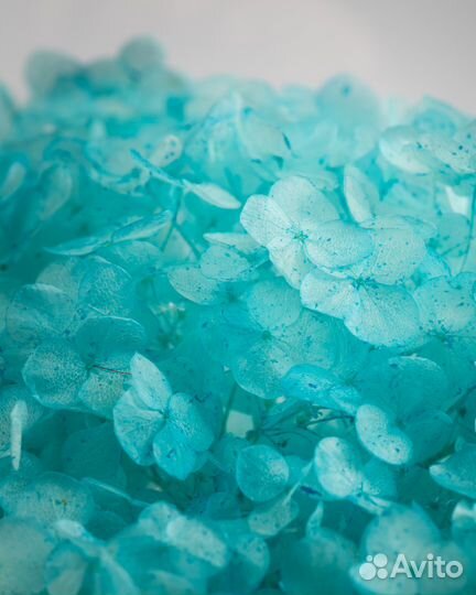 Большой букет в шаре (Наличие. Доставка)