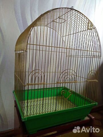 Клетка и лоток для котёнка