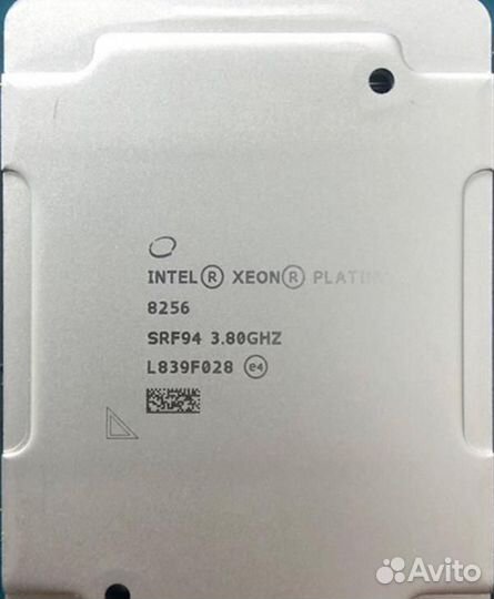 Процессор intel xeon platinum 8256