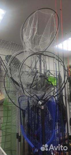 Голова подсачека