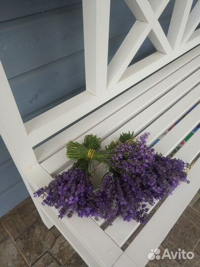 Лаванда сухоцвет 2023