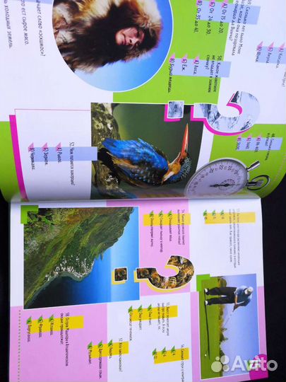 Познавательная книга