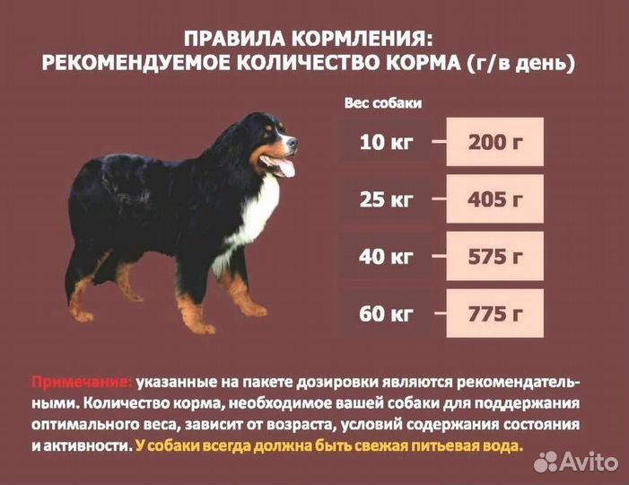 Сухой корм для собак