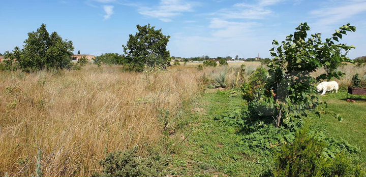 Участок 15 сот. (ИЖС)