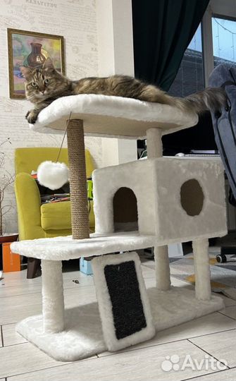 Домик для кошки с когтеточкой