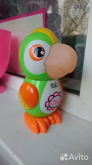 Поющий попугай