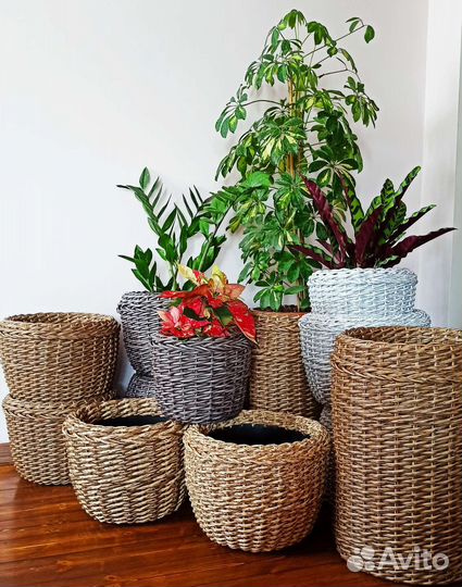 Кашпо для дома и сада