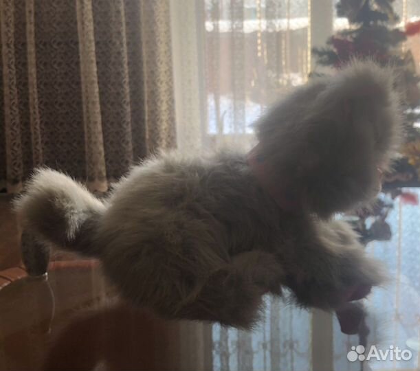 Мягкая игрушка кошка