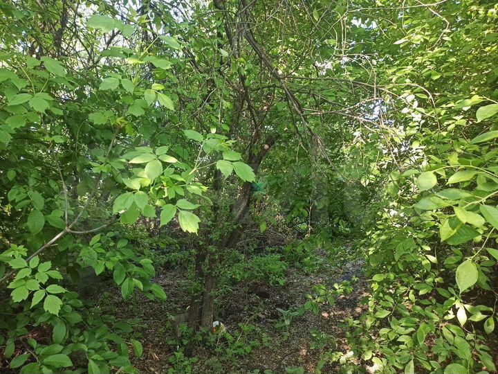 Участок 12 сот. (ИЖС)