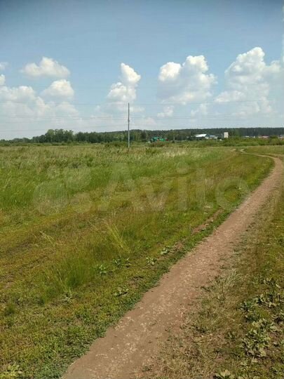 Участок 3 га (СНТ, ДНП)
