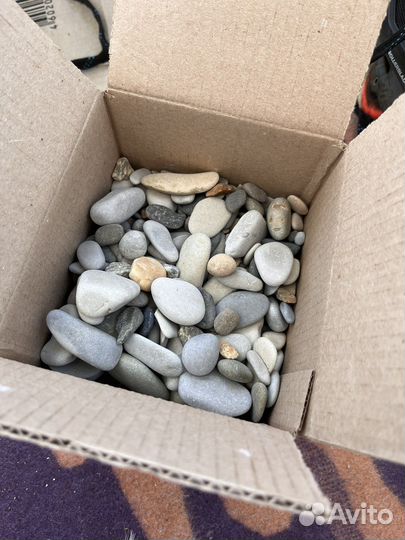 Морская галька с черного моря