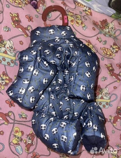 Костюм для собаки