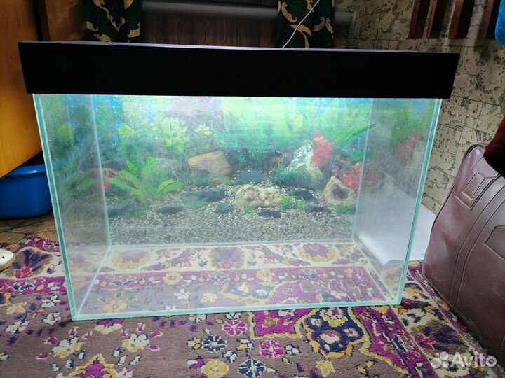 Аквариум