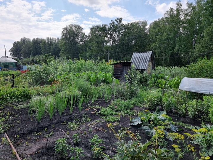 Участок 9 сот. (СНТ, ДНП)