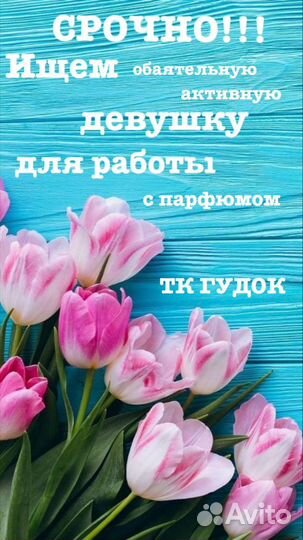 Продавец-консультант