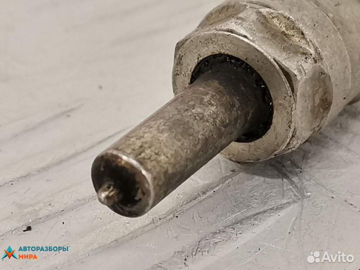 Форсунка Renault Scenic 2 2006 8200389369