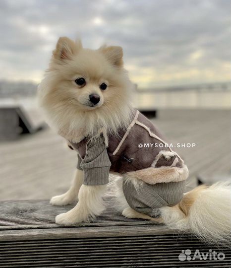 Куртка(меховая дубленка) для собак