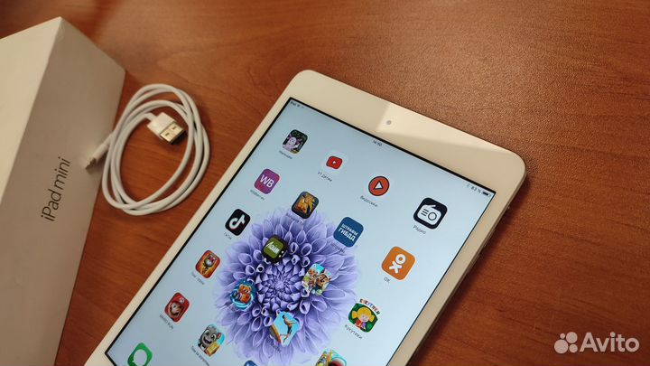 iPad mini 64gb #208