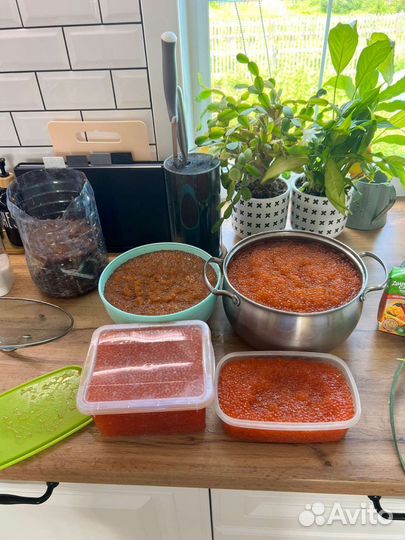 Икра горбуши