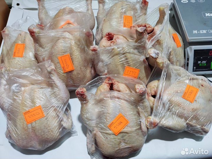 Мясо домашнего бройлера