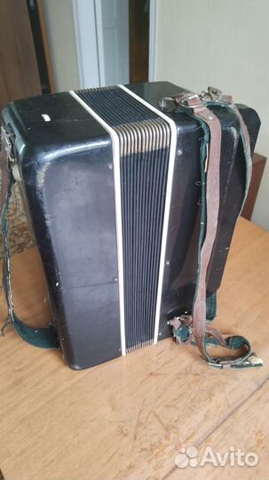 Баян аккордионированный, Москва